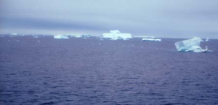 Icebergs in the Antarctic Sound 