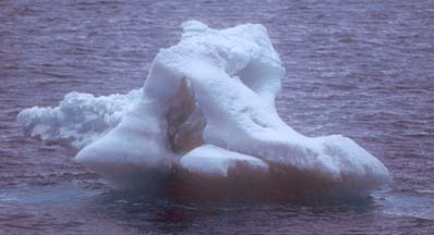 Iceberg in the Antarctic Sound 