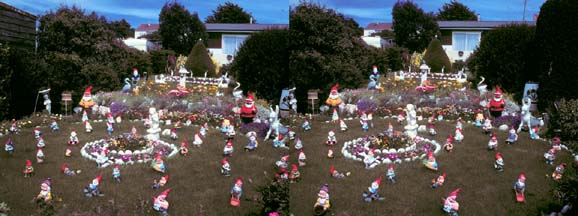 3-D view of the gnome garden at Stanley