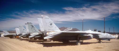 Grumman F-14 Tomcats