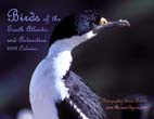 Birds of the South Atlantic and Antarctica: 2009 Calendar