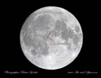Phases of the Moon: 2009 Calendar