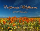 California Wildflowers: 2009 Calendar