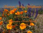 Antelope Valley Wildflowers: 2009 Calendar