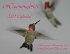 Hummingbirds: 2009 Calendar